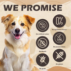 Chicken Jerky Rings Dog Treats, High Protein Chewy Snacks for Small Medium Large Dogs, Taurine Added, 10.6oz - Pawup