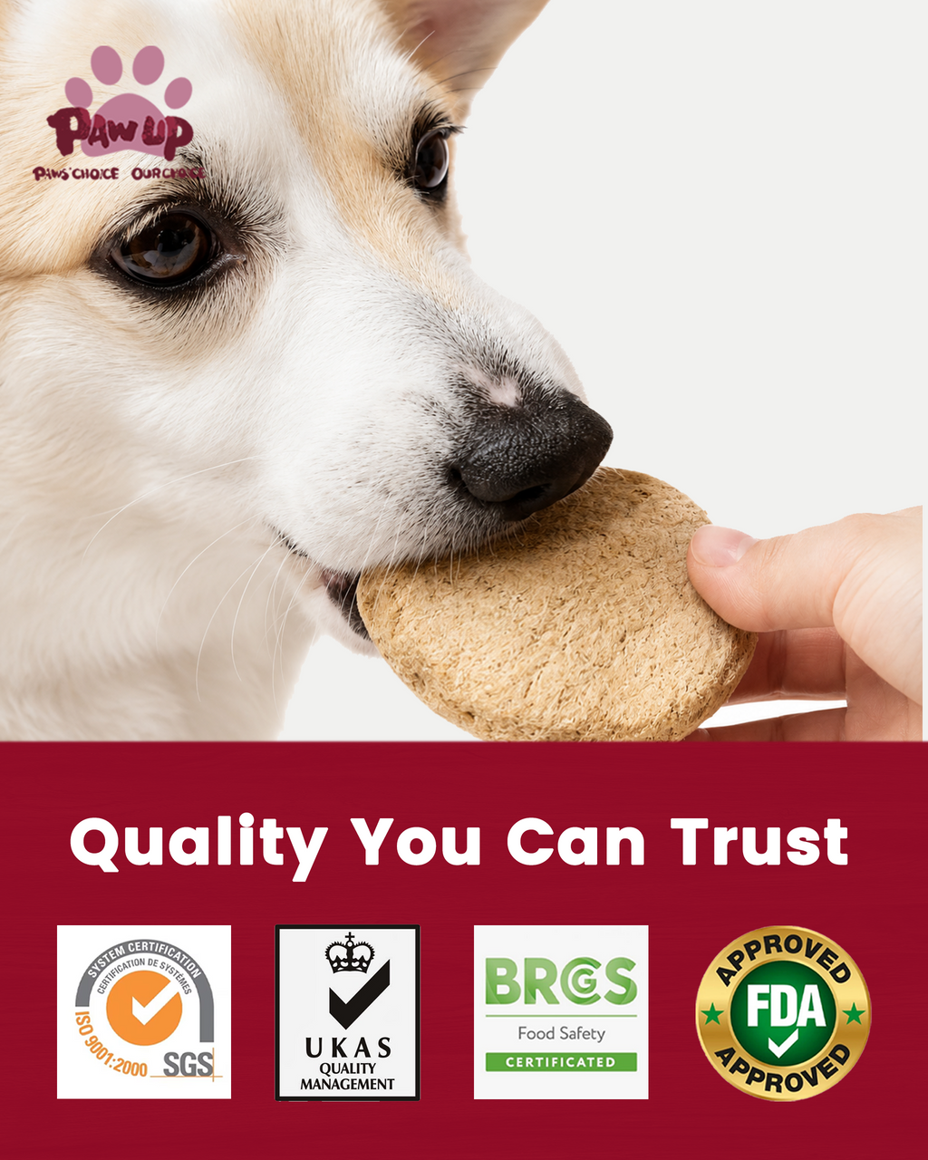 PAWUP Freeze Dried Duck Dog Treats & Food Topper, Single Animal Protein Limited Ingredient, High Protein Grain Free for Picky Eaters, No Artificial Flavors, Colors or Artificial Preservatives-14 oz - Pawup