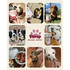 Pawup Duck & Egg Yolk Slices, Soft Chewy Dog Jerky Treats, 12.5 oz