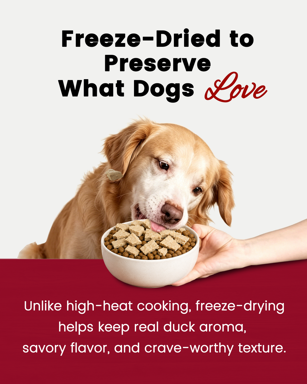 PAWUP Freeze Dried Duck Dog Treats & Food Topper, Single Animal Protein Limited Ingredient, High Protein Grain Free for Picky Eaters, No Artificial Flavors, Colors or Artificial Preservatives-14 oz - Pawup