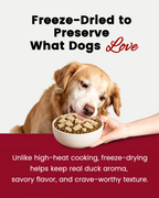 PAWUP Freeze Dried Duck Dog Treats & Food Topper, Single Animal Protein Limited Ingredient, High Protein Grain Free for Picky Eaters, No Artificial Flavors, Colors or Artificial Preservatives-14 oz - Pawup