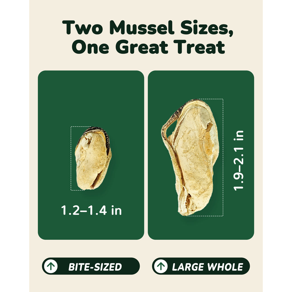 PAWUP Dog Treats, Freeze Dried Green-Lipped Mussels, Large Whole Mussels, 3.5 oz