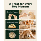 PAWUP Dog Treats, Freeze Dried Green-Lipped Mussels, Large Whole Mussels, 3.5 oz