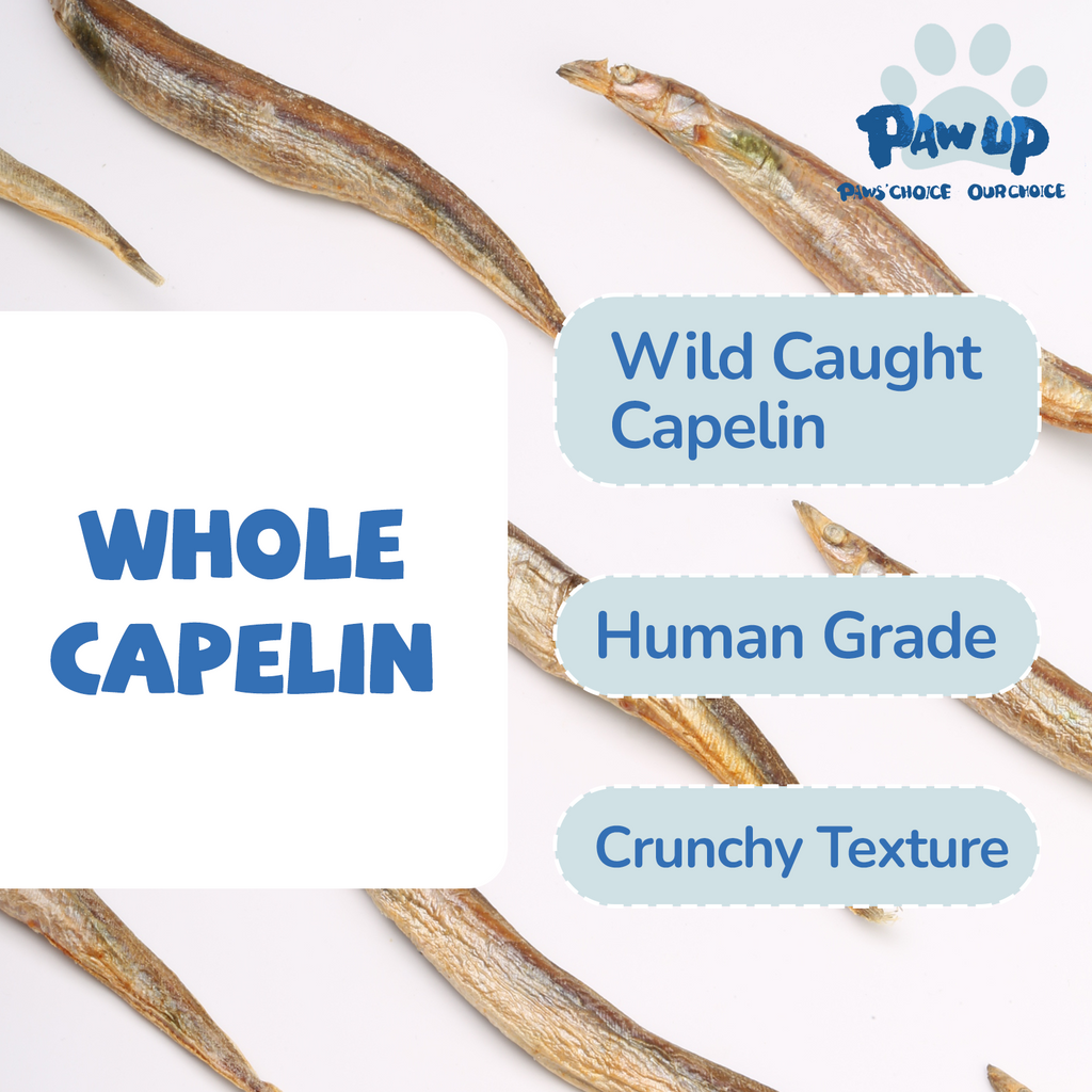 Freeze Dried Capelin for Dogs. Benifit for Skin & Coat Health, 3.5oz - Pawup