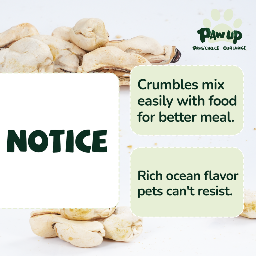 Freeze Dried Green Lipped Mussels for Dogs, Joint & Hip Health, 3.5 oz - Pawup