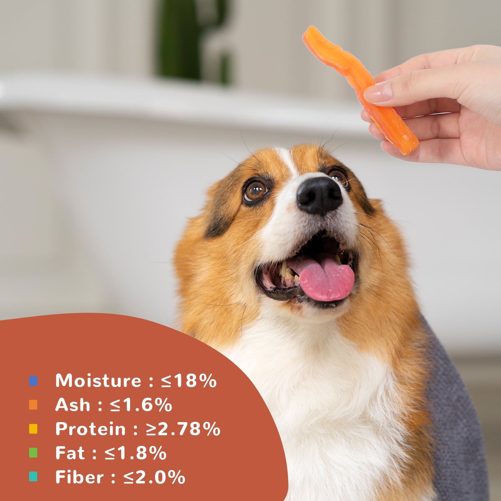 Sweet Potato Dog Treats, Low Fat, Single Ingredient Natural Chews for Dogs, 10.4oz - Pawup
