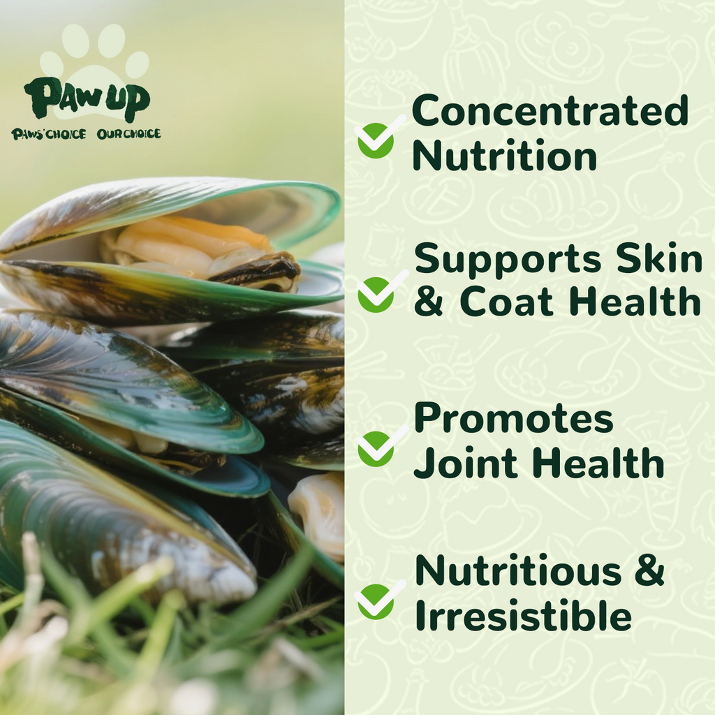 Freeze Dried Green Lipped Mussels for Dogs, Joint & Hip Health, 3.5 oz - Pawup