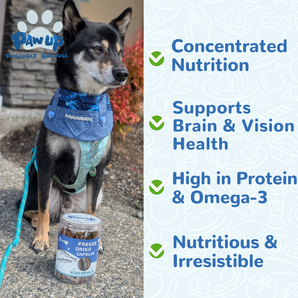 Freeze Dried Capelin for Dogs. Benifit for Skin & Coat Health, 3.5oz - Pawup