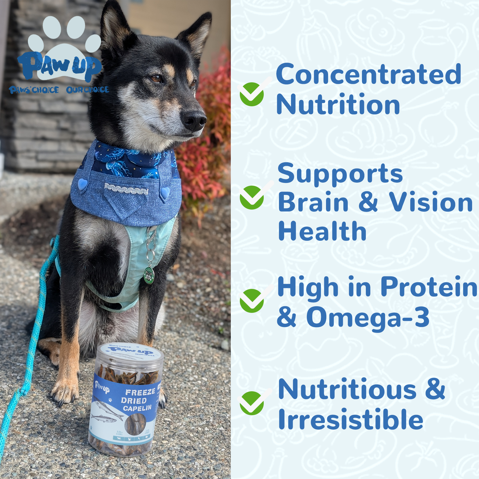 Freeze Dried Capelin for Dogs. Benifit for Skin & Coat Health, 3.5oz - Pawup