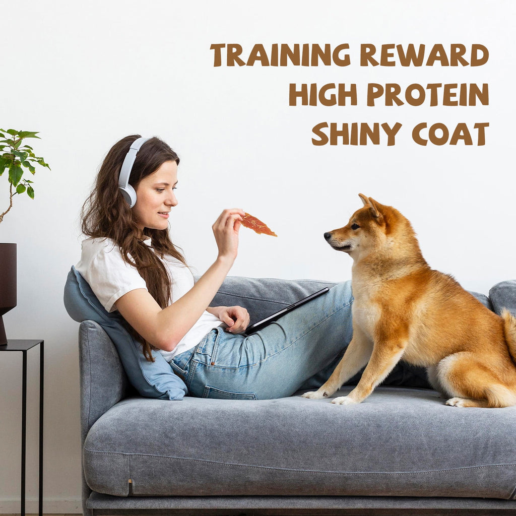 Chicken Jerky Dog Treats, Grain-Free Rawhide-Free Snacks for Dogs, 10.4 oz - Pawup