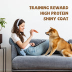 Chicken Jerky Dog Treats, Grain-Free Rawhide-Free Snacks for Dogs, 10.4 oz - Pawup