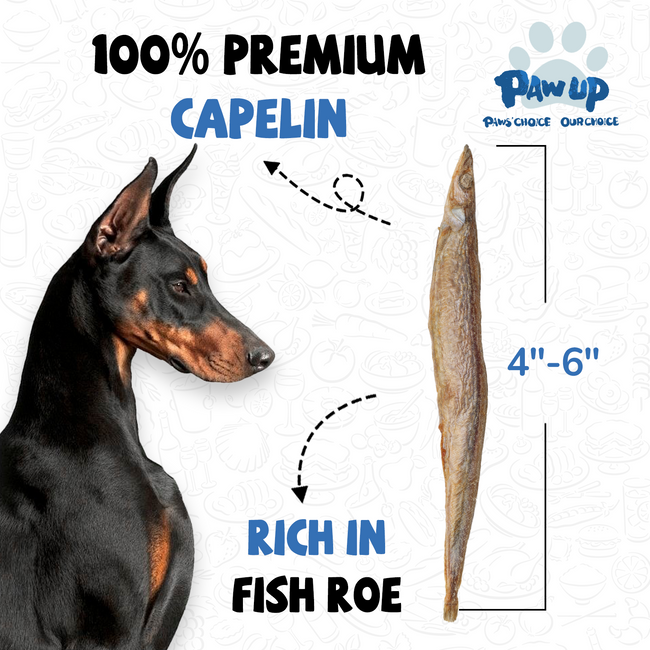 Freeze Dried Capelin for Dogs. Benifit for Skin & Coat Health, 3.5oz Main Image