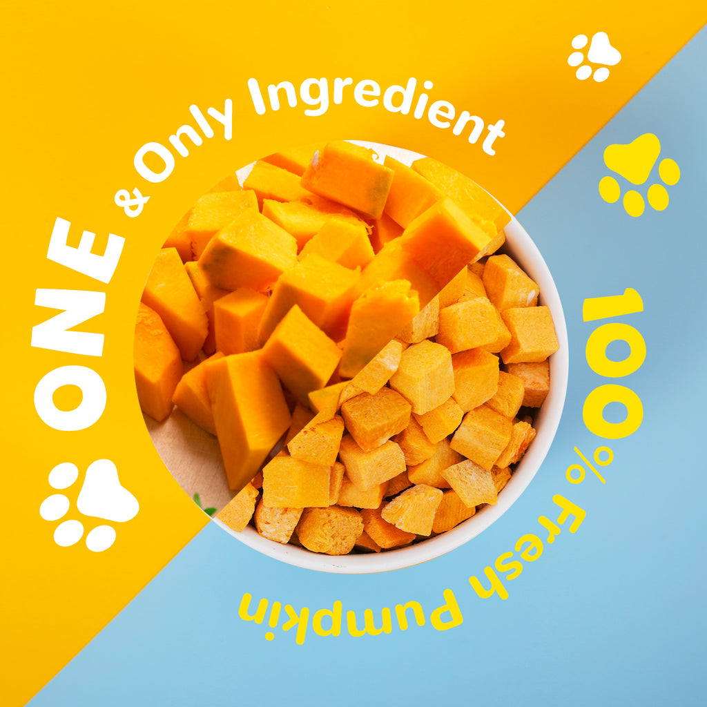 Freeze-Dried Pumpkin Treats for Dogs & Cats, High-Fiber Single-Ingredient Snacks, 1.58 oz - Pawup