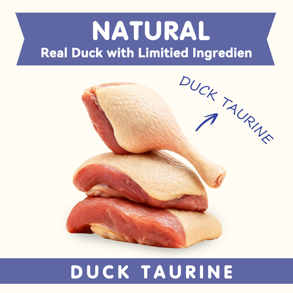 Duck Wrapped Calcium Bone Dog Treats, Rawhide-Free High-Protein Chews for Puppies & Small Dogs, 10.6 oz - Pawup