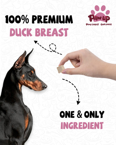 Freeze-Dried Duck Breast Treats for Dogs, High-Protein Snacks, 4.6 oz - Pawup