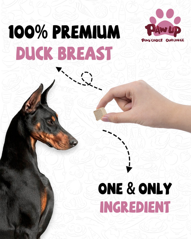 Freeze-Dried Duck Breast Treats for Dogs, High-Protein Snacks, 4.6 oz Main Image