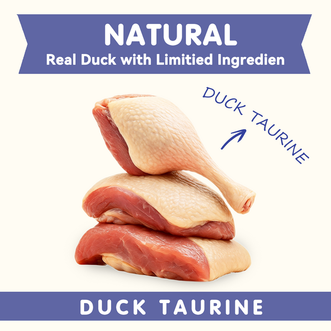 Duck Wrapped Pumpkin Dog Treats, Rawhide-Free Chews for Dogs, 10.6 oz Main Image