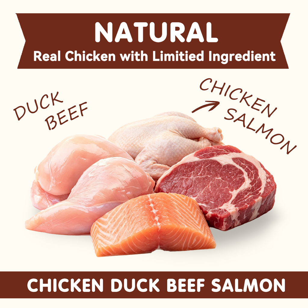 PAWUP Freeze Dried Dog Treats, Chicken, Duck, Beef, Beef Liver & Salmon, Single-Ingredient Variety Snack Pack for Small, Medium & Large Dogs, 2.5 oz Bag - Pawup