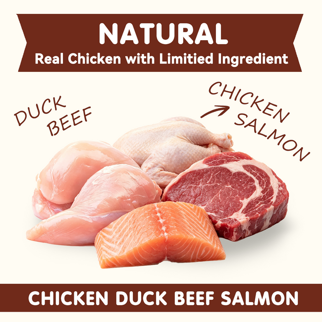 PAWUP Freeze Dried Dog Treats, Chicken, Duck, Beef, Beef Liver & Salmon, Single-Ingredient Variety Snack Pack for Small, Medium & Large Dogs, 2.5 oz Bag Main Image