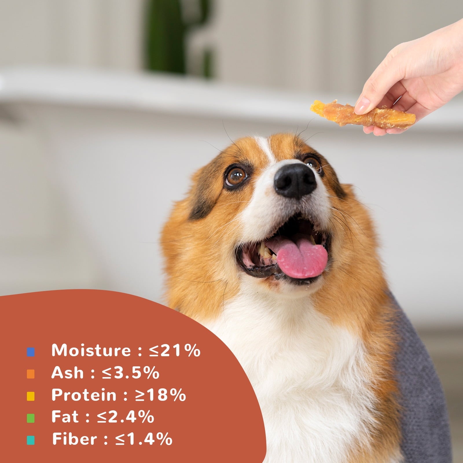 Chicken Wrapped Sweet Potato Dog Treats, Low Fat, Natural Sweet Potato Chews for Dogs, 10.4oz - Pawup