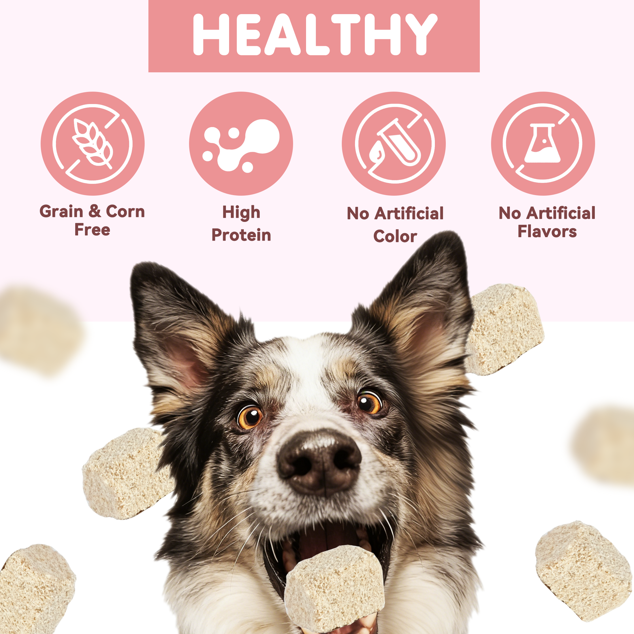 PAWUP Freeze Dried Dog Treats, Real Rabbit Bites, Single Protein Snack for Small, Medium & Large Dogs, 2.5 oz Bag - Pawup