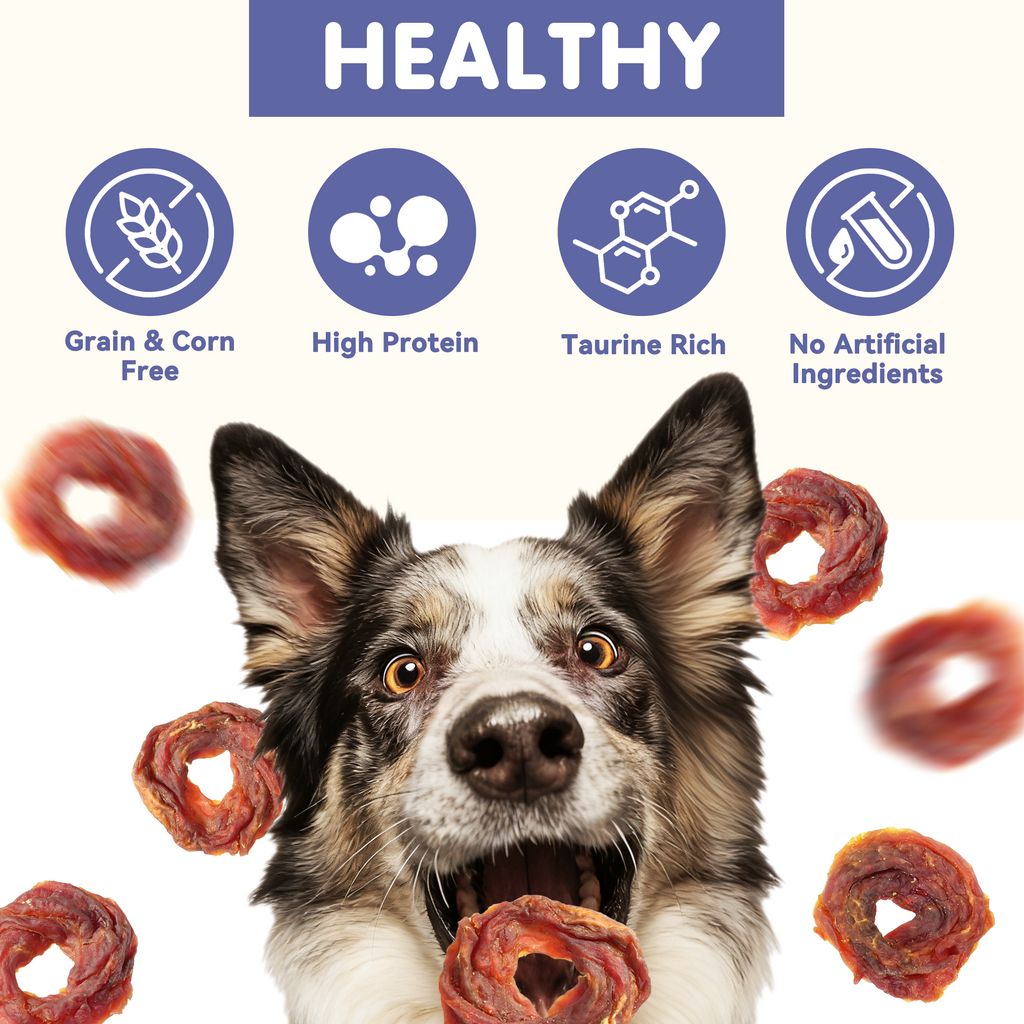 PAWUP Dog Treats Duck Jerky Rings, High Protein Training Treats for Small Medium Large Dogs, Heart Health with Taurine, 10.6oz - Pawup