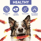 Duck Wrapped Pumpkin Dog Treats, Rawhide-Free Chews for Dogs, 10.6 oz - Pawup