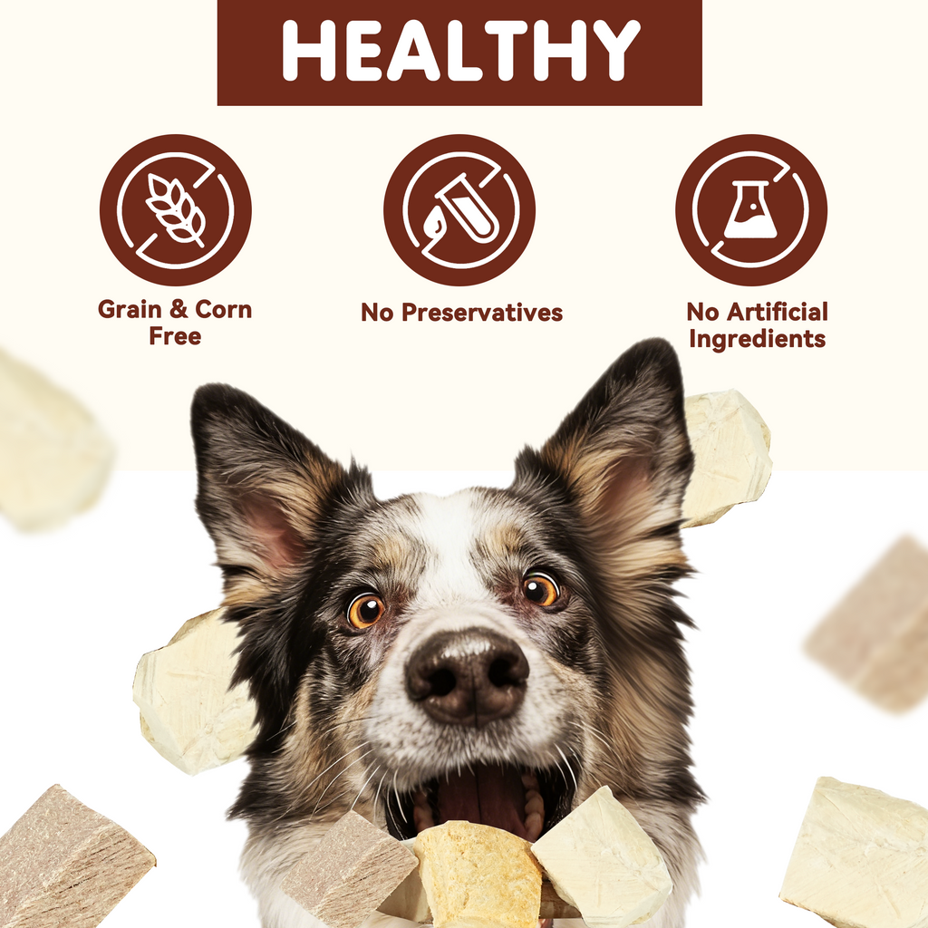 PAWUP Freeze Dried Dog Treats, Chicken, Duck, Beef, Beef Liver & Salmon, Single-Ingredient Variety Snack Pack for Small, Medium & Large Dogs, 2.5 oz Bag - Pawup