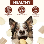 PAWUP Freeze Dried Dog Treats, Chicken, Duck, Beef, Beef Liver & Salmon, Single-Ingredient Variety Snack Pack for Small, Medium & Large Dogs, 2.5 oz Bag - Pawup