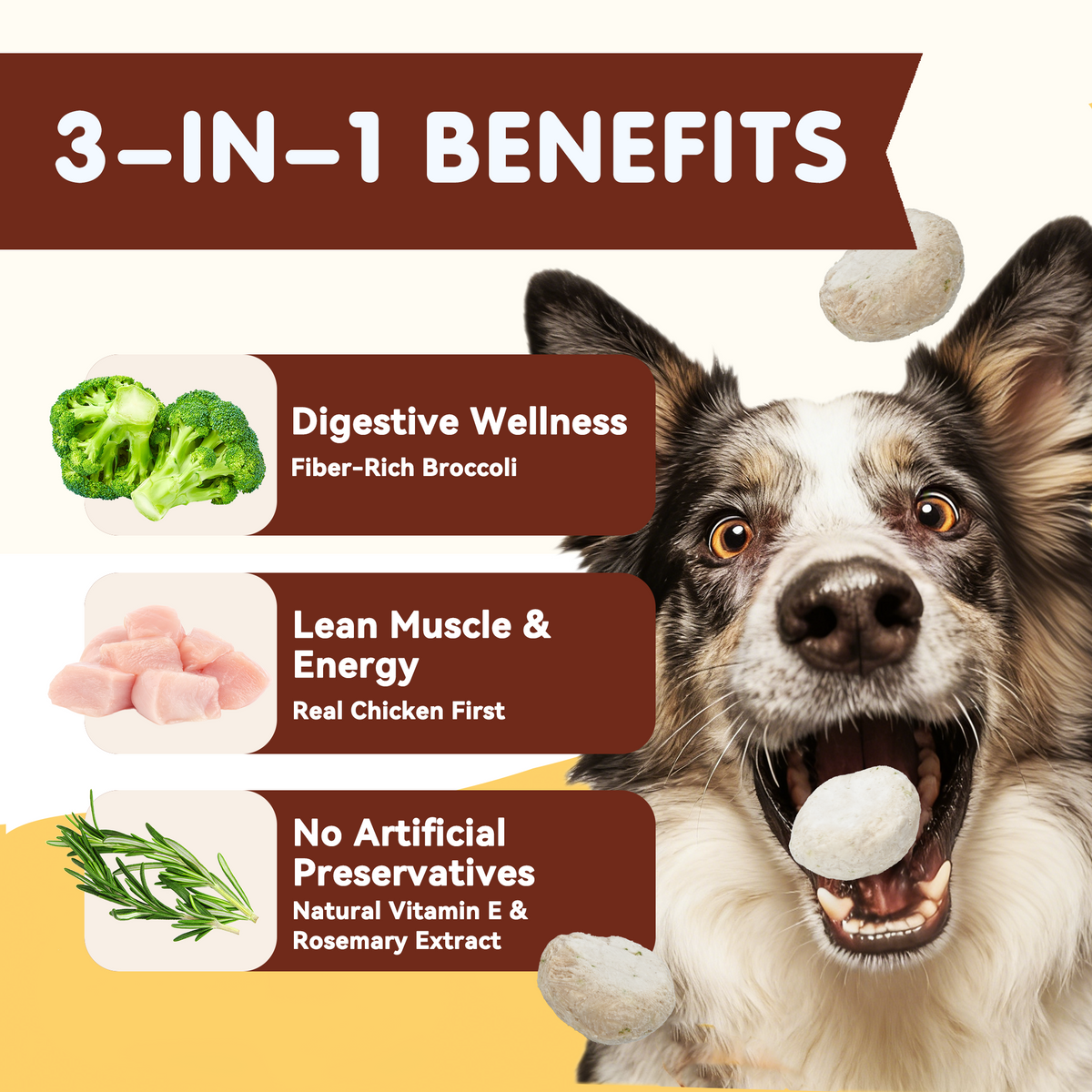 PAWUP Freeze Dried Chicken Dog Treats, 96.8% Real Chicken Meatballs, Grain-Free Training Treats for Dogs & Cats, 3.5 oz Bag - Pawup