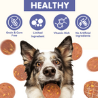 PAWUP Duck Sausage with Apple Dog Treats, Human Grade Dog Food for Small Medium Large Dogs, Training Treats for Dogs, 10.6oz - Pawup