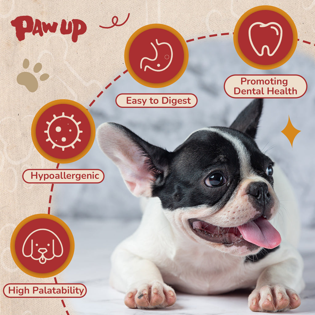 Turkey Jerky Dog Treats, High-Protein Chews for Large Dogs, 2 Sticks (36 g Each) - Pawup
