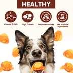 PAWUP Chicken Wrapped Egg Yolks Dog Treats, High Protein Dog Snacks for Small Medium Large Dogs, 10.6oz