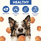 PAWUP Cod Natural Dog Treats, Popcorn-Inspired Crunchy Bites, Healthy Reward or Training Treat for Skin & Coat Health, Small Medium Large Dog, 2.5oz