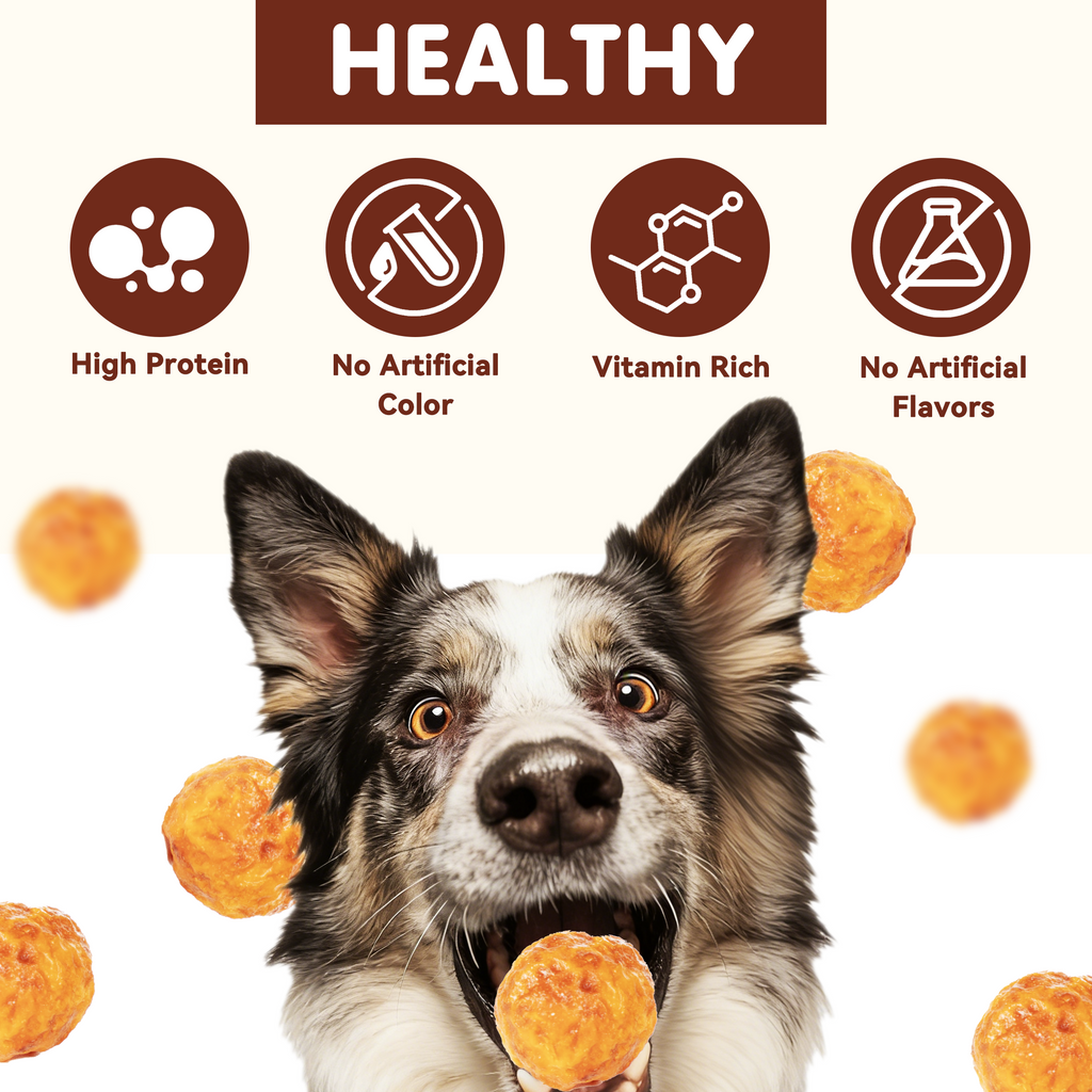 PAWUP Chicken Natural Dog Treats, Popcorn-Inspired Crunchy Bites, Healthy Reward or Training Treat for Small, Medium and Large Dog, 2.5oz