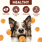 PAWUP Chicken Natural Dog Treats, Popcorn-Inspired Crunchy Bites, Healthy Reward or Training Treat for Small, Medium and Large Dog, 2.5oz