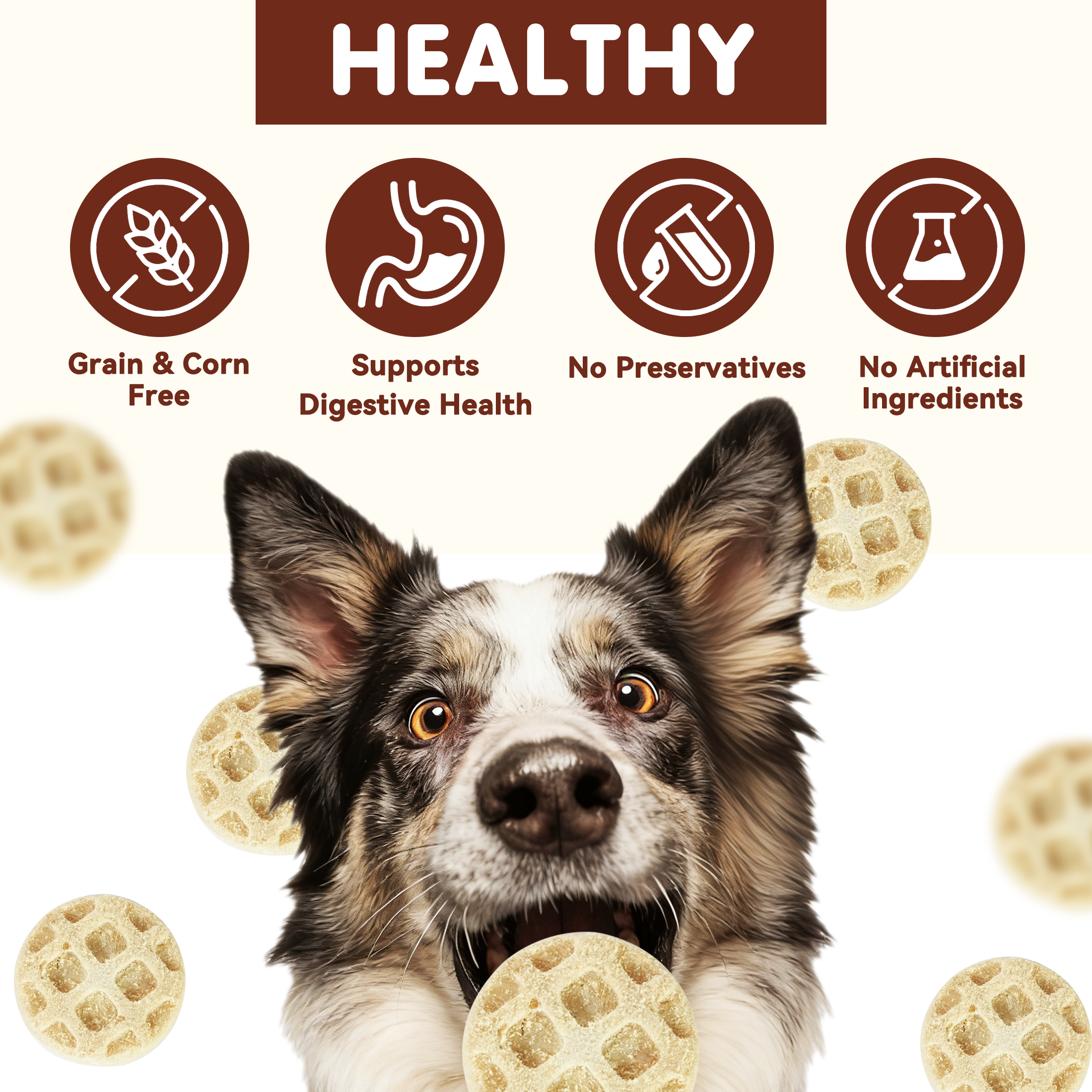 PAWUP Freeze Dried Dog Treats, Goat Milk Chicken and Liver Patties, High Protein Probiotic Snack for Small, Medium & Large Dogs, 2.5 oz Bag - Pawup