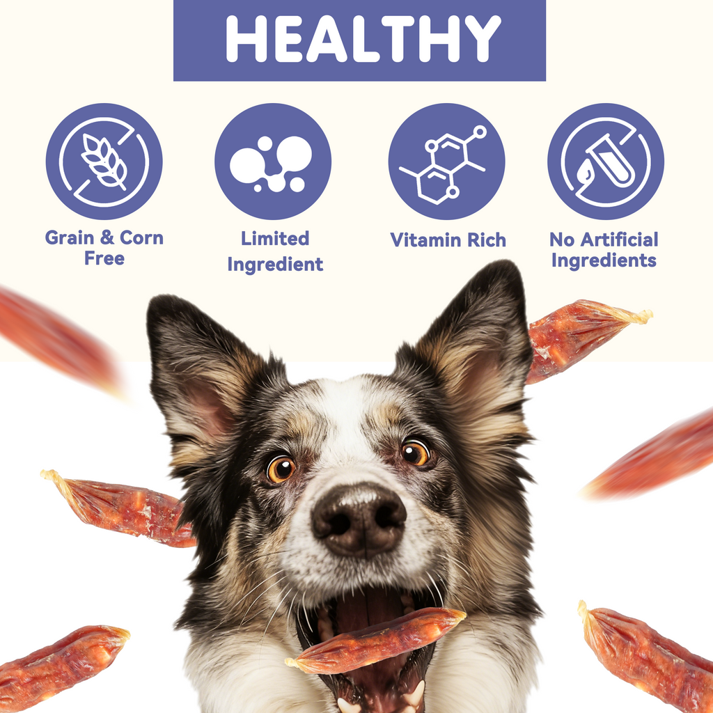 PAWUP Duck Sausage with Cheese Dog Treats, Natural Dog Snacks for Small Medium Large Dogs, Training Treats for Dogs, 10.6oz - Pawup