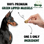 Freeze Dried Green Lipped Mussels for Dogs, Joint & Hip Health, 3.5 oz - Pawup