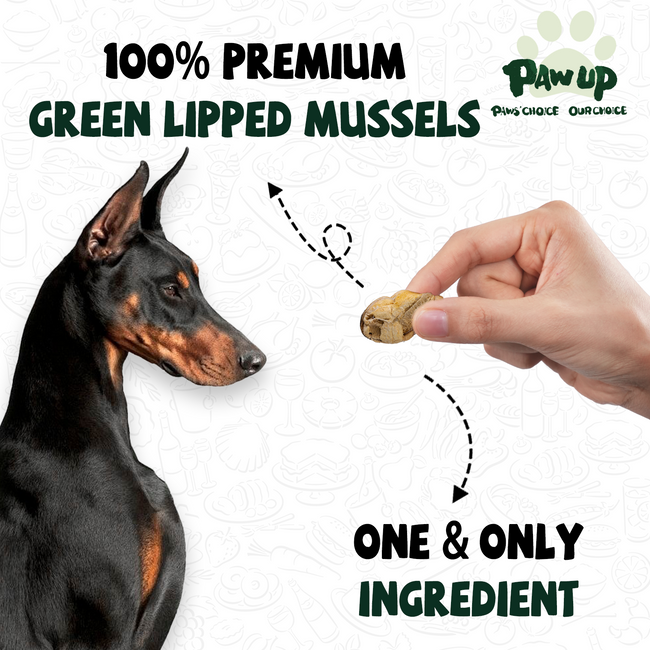 Freeze Dried Green Lipped Mussels for Dogs, Joint & Hip Health, 3.5 oz Main Image