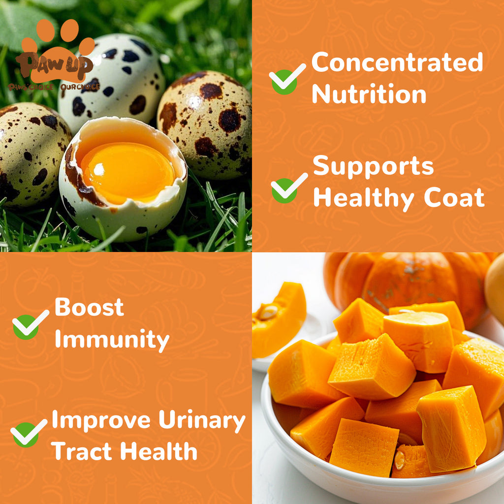Freeze Dried Quail Egg Yolk Treats for Cats & Dogs, Coat & Urinary Health, 3.5 oz - Pawup