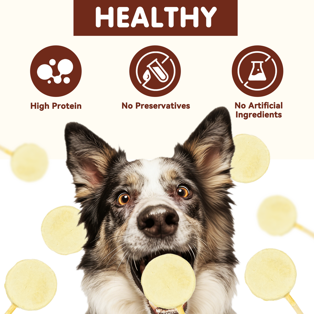 PAWUP Dog Treat Freeze-Dried Chicken & Pumpkin Lollipops with Rawhide, Dental Chew & High Protein Training Treats for Small, Medium & Large Dogs, 1.5 oz 5 Counts - Pawup
