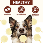 PAWUP Dog Treat Freeze-Dried Chicken & Pumpkin Lollipops with Rawhide, Dental Chew & High Protein Training Treats for Small, Medium & Large Dogs, 1.5 oz 5 Counts - Pawup