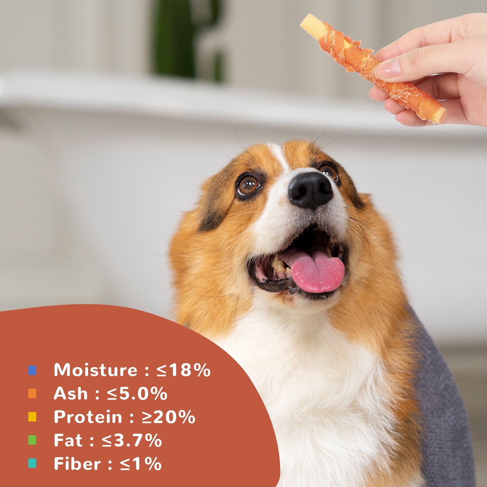Chicken Wrapped Pumpkin Stick Dog Treats, Rawhide-Free Chews for Dogs, 10.4 oz - Pawup