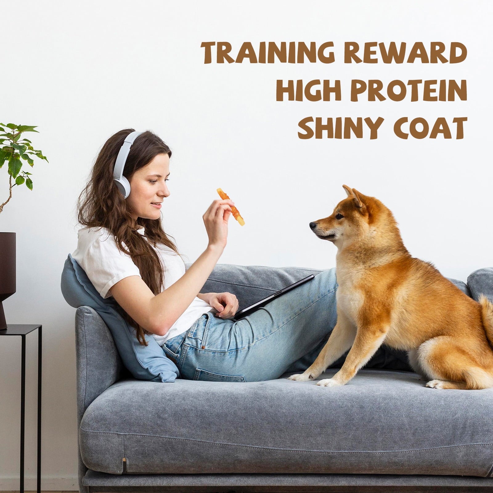 Chicken Wrapped Pumpkin Stick Dog Treats, Rawhide-Free Chews for Dogs, 10.4 oz - Pawup