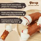 Chicken Rawhide Bone Dog Treats, Long-Lasting Dental Chews for Dogs, 9 oz - Pawup