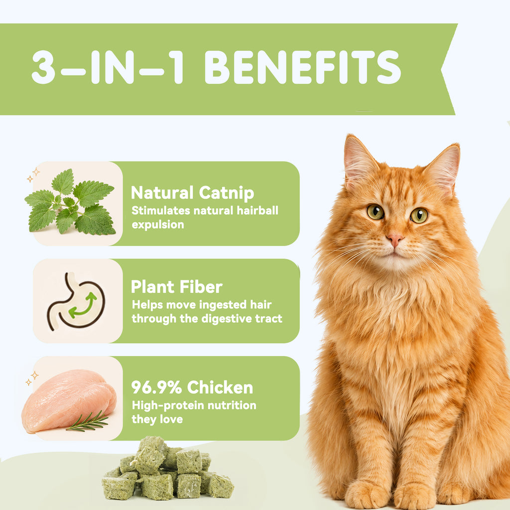 PAWUP Freeze Dried Cat Treats, Real Chicken with Cat Grass, High Protein Crunchy Snack for Kittens Adult Senior Cats, 3.6 oz Bag