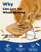 PAWUP Cats Treats Freeze Dried Minnows, Bite-Sized Minnows Snacks, 3.5 oz