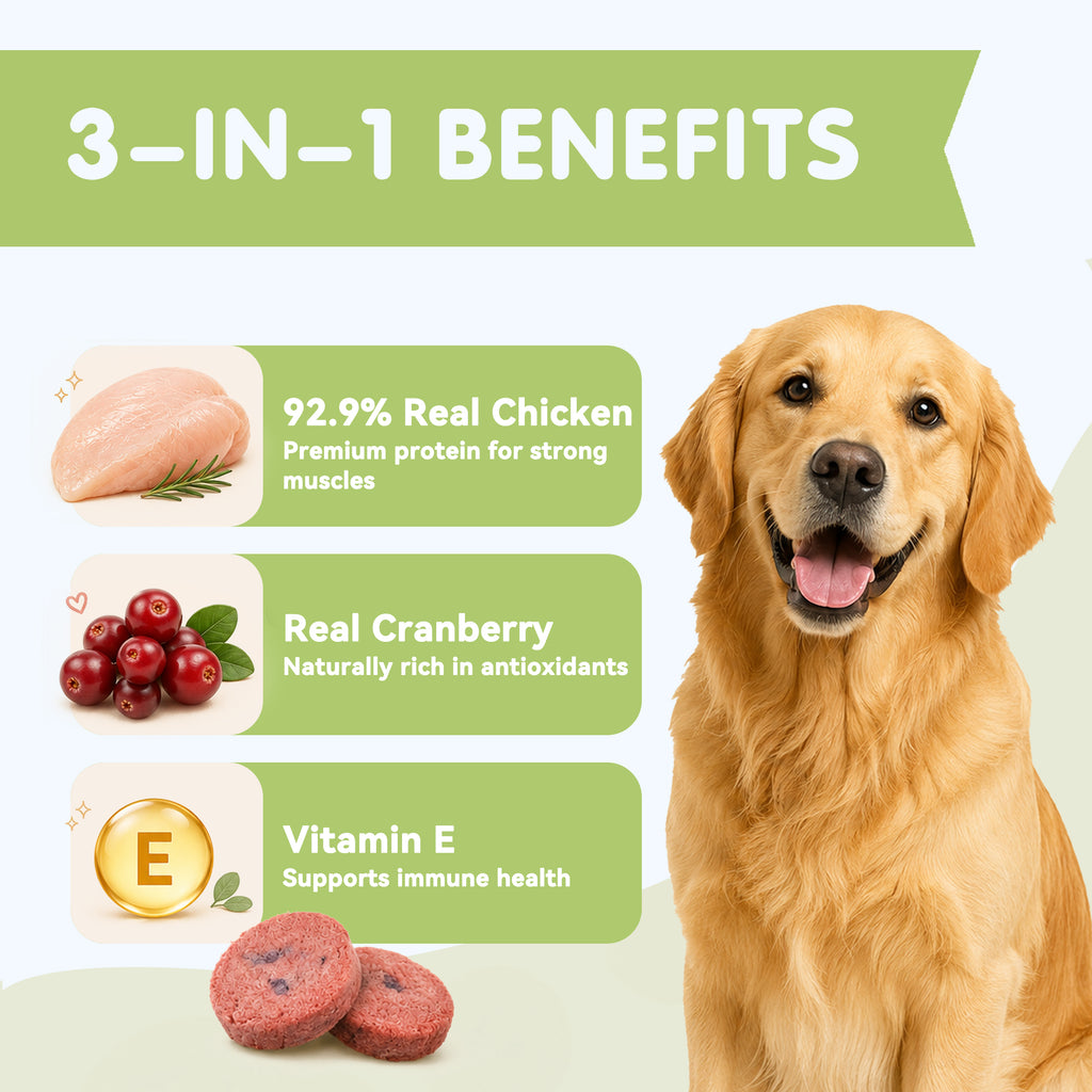 PAWUP Freeze Dried Dog Treats, Real Chicken with Cranberry, High Protein Crunchy Training Snack for Small Medium Large Dogs, 3.6 oz Bag