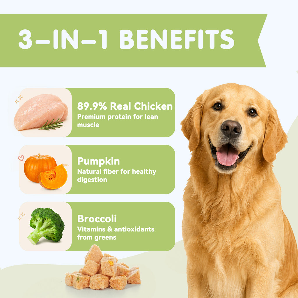 PAWUP Freeze Dried Dog Treats, Real Chicken with Pumpkin & Broccoli, High Protein Crunchy Training Snack for Small Medium Large Dogs, 3.6 oz Bag